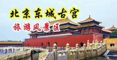 520791cme中国北京-东城古宫旅游风景区